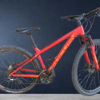 Bicicletta Mountain bike uomo Focus