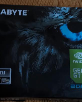 Scheda video NVIDIA GT 710 GDDR5 2 GB di VRAM 