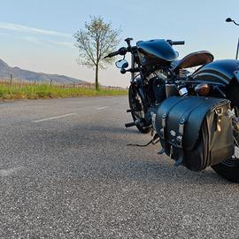 Harley-Davidson Sporster forty-eight 48 (2013)