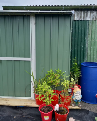 Casetta giardino in Acciaio 155x100cm verde