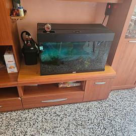 acquario juwel 120lt