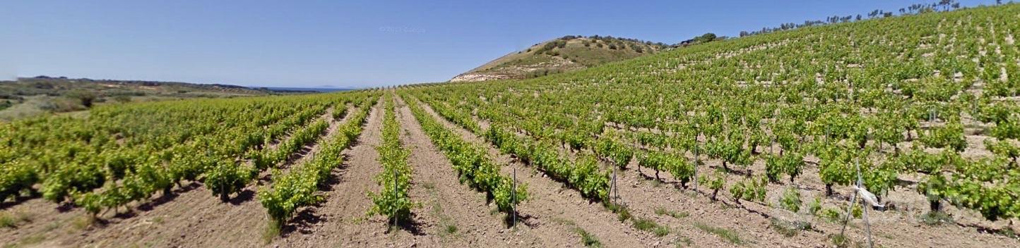 Terreno Azienda Agricola Sorso - Vista 2