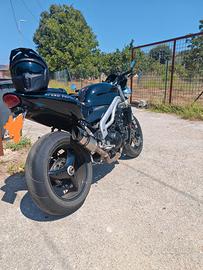 triumph speed triple 955i  black edition