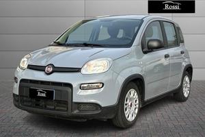 FIAT Panda III 2021 - Panda 1.0 firefly hyb U64496