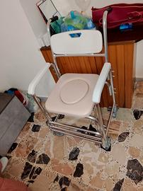 Sedia a rotelle