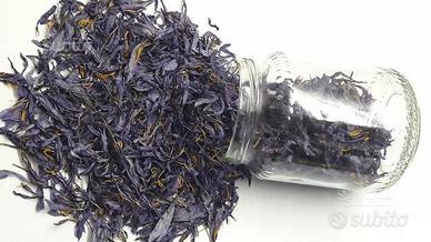 Petali di zafferano essiccati