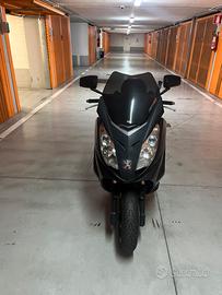 Peugeot Satelis 250 RS