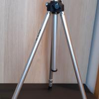 Treppiede