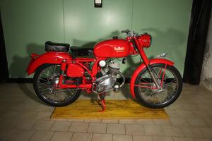 Benelli leoncino 1955