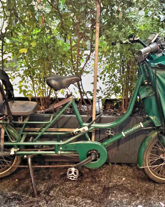 Bici Capace 3 posti, modello JUST LONG, elettrica