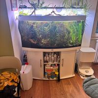 Acquario jewel vision 260