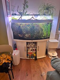 Acquario jewel vision 260