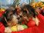 Immagine 1