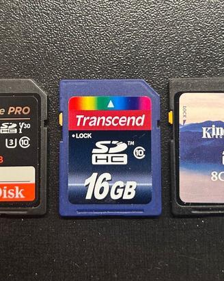 Schede di memoria SDHC