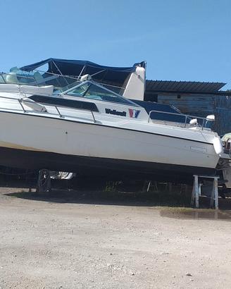 wellcraft con motore volvo penta 