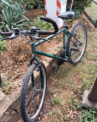 bici uomo ruota 26