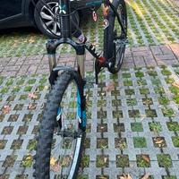 bicicletta rokraider