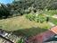 Immagine 27