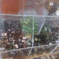 bocche di lupo plex