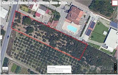 Terreno Agricolo - con Noccioleto