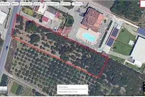 Terreno Agricolo - con Noccioleto