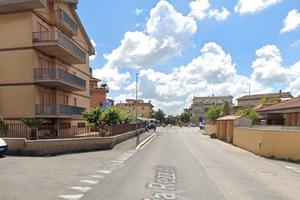 Palmarola luminoso bilocale arredato