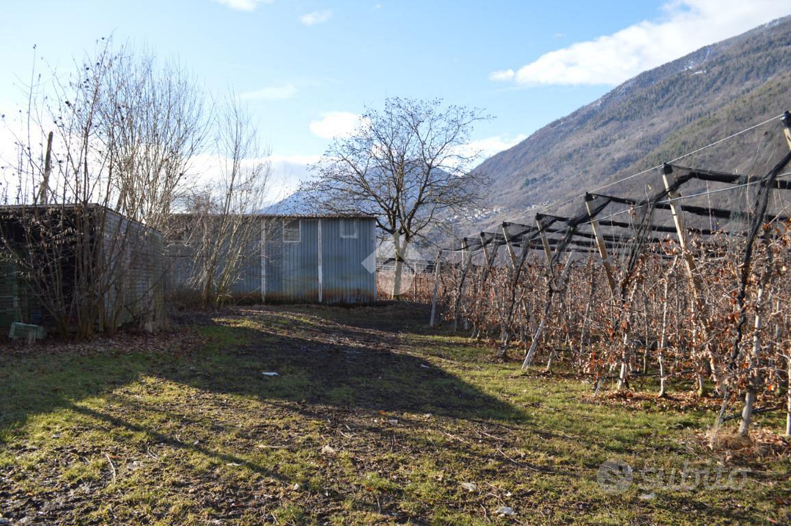 TERRENO A LOVERO - Vista 4