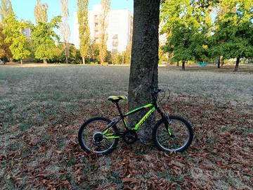 Bici mountain bike marca Montana unisex 24