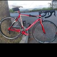 pinarello fp1 rossa e bianca