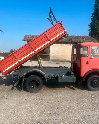 LUPETTO Modello: OM 25 C - CASSONE RIBALTABILE