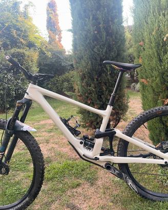 Specialized Enduro Elite