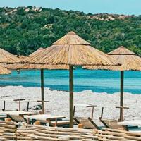 60 ombrelloni di paglia