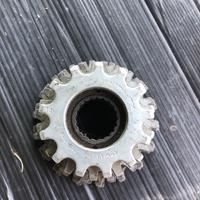 Ruota libera regina ectra bx