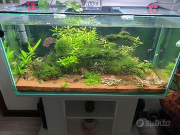 Acquario 200 litri