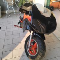 MINIMOTO 