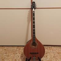 Bouzouki Richwood Elettrificato