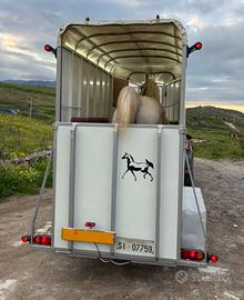 Trailer turatello 1 posto e mezzo