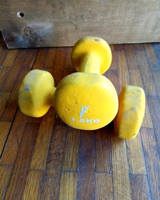 coppia manubri in neoprene kg. 1,5