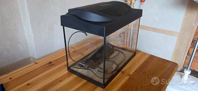 acquario 30Litri