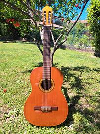 Chitarra acustica