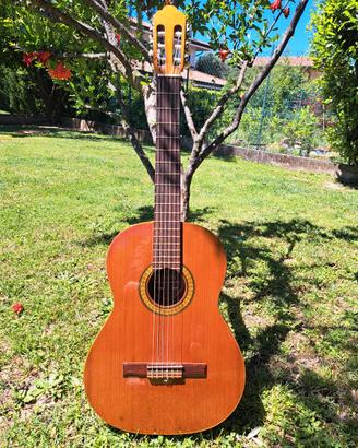Chitarra acustica