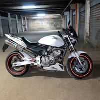 Hornet 600