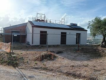Terreno con uliveto e 2 fabbricati