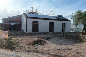 Terreno con uliveto e 2 fabbricati