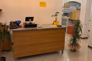 Attivita commerciale