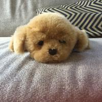 Cane giocattolo Giochi Preziosi