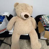 Orsacchiotto gigante