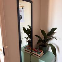 specchio a figura intera con cornice viola