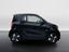 Immagine 7