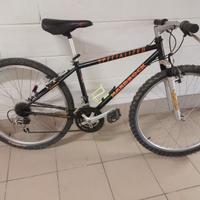 specialized ragazzo
